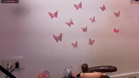 Kitty online show from January 17, 1:04 am