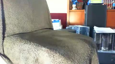 kledenn online show from October 27, 10:59 am