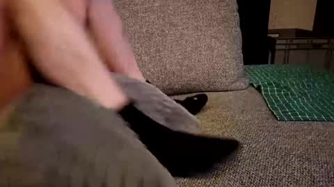 koelie1982 online show from December 19, 1:28 am