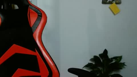 Karoll online show from February 27, 2:46 am