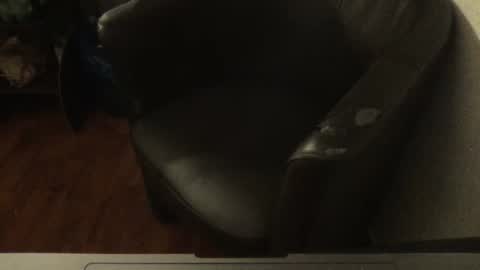 korek878 online show from November 2, 8:31 pm