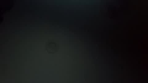 krsfee1 online show from February 20, 2:24 pm