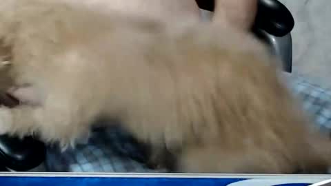 kwib34 online show from February 15, 11:42 am