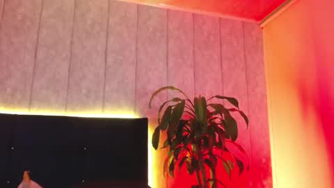 kytty_gatita online show from December 18, 3:57 am