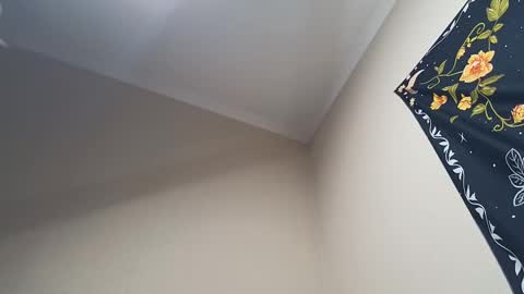 Adonis online show from February 28, 4:32 am