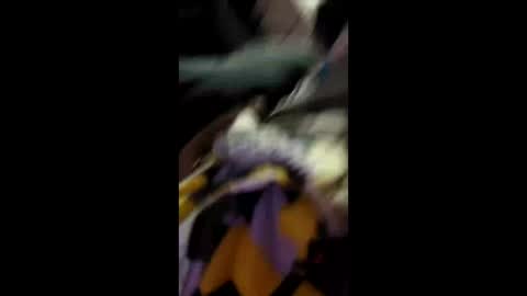 labran817 online show from April 11, 11:47 am