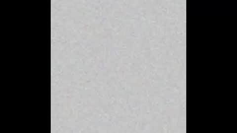  paola and a guest lol    online show from February 20, 8:50 am