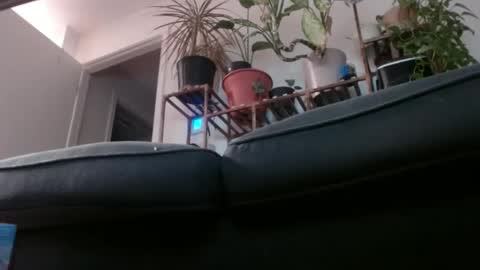 Rick online show from February 1, 3:08 am