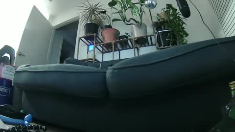 Rick online show from January 19, 5:26 am