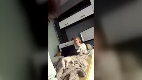 laski_twink online show from August 3, 4:47 am