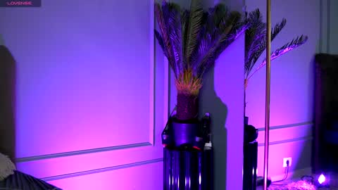 Medy online show from December 20, 7:28 pm