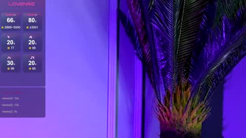 Medy online show from January 8, 1:00 am