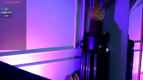 Medy online show from January 7, 6:56 pm