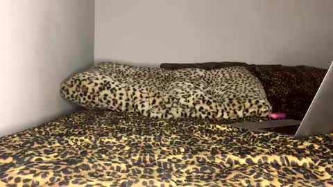 Snapshot of laycee69 chatting on September 18, 4:16 am Laycee Layne online show from September 18, 4:16 am