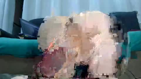 Snapshot of laylabrasil chatting on October 16, 1:49 am kelly online show from October 16, 1:49 am