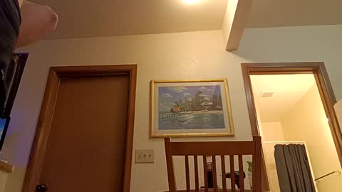 letsplay361 online show from March 8, 1:47 pm