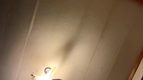 likestobewatched151 online show from February 26, 10:24 pm