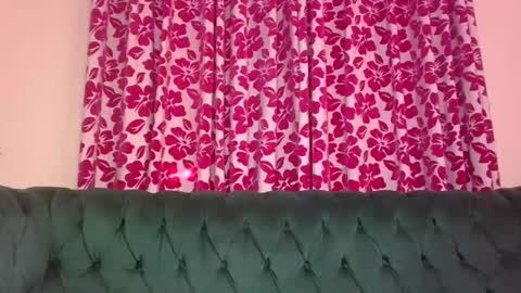 serenity online show from January 22, 10:29 am