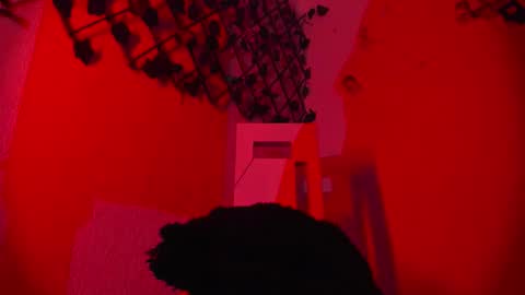 Lilith Salvatore online show from October 30, 3:23 pm