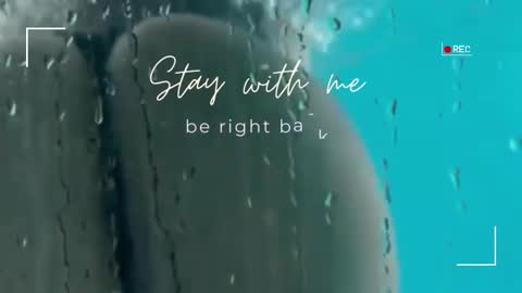 Lily online show from November 2, 6:24 am