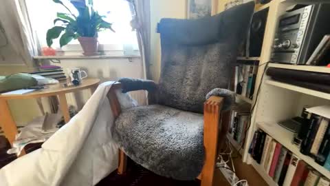 lingonkuk online show from September 17, 7:01 am