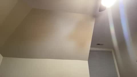 linusloves online show from November 30, 7:37 am