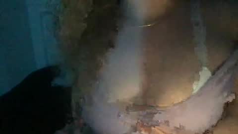 babygirll online show from March 27, 4:07 am