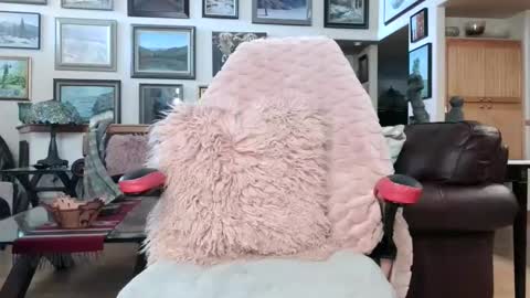 Miss D   Shows Mon Wed  Fri online show from April 19, 1:23 pm