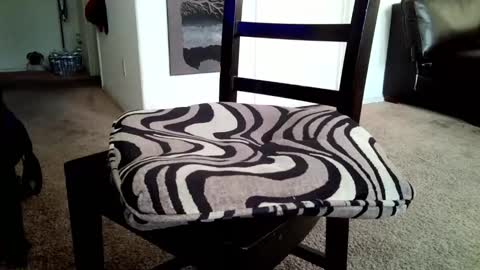 LL Cool Jake online show from March 16, 2:21 pm