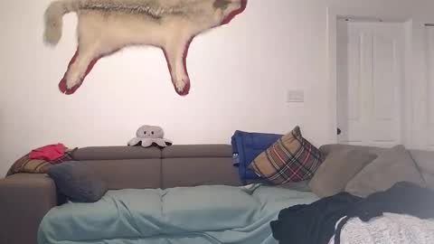 Lola Lixx online show from October 28, 4:19 pm