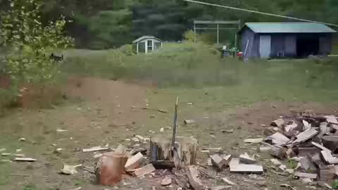 longtimerambler online show from October 11, 8:56 pm