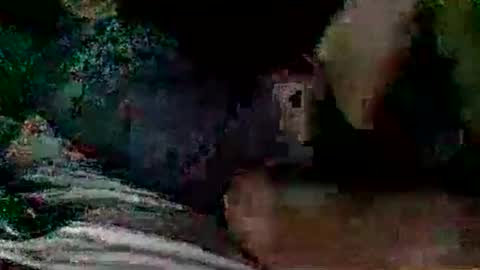 loose565 online show from November 25, 5:28 am