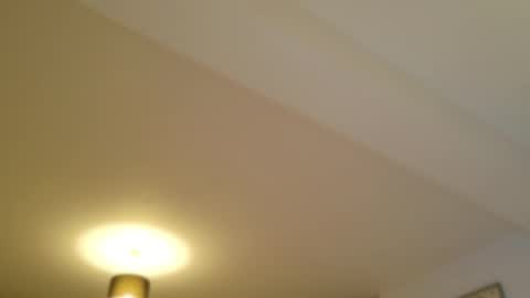 Amelia online show from October 25, 7:47 pm