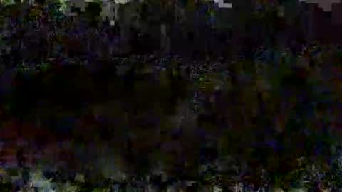 loulou0099 online show from January 18, 7:23 pm