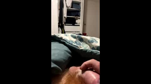 lovedickbi online show from March 14, 12:20 pm