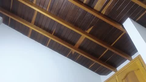 Trix online show from January 20, 11:45 am