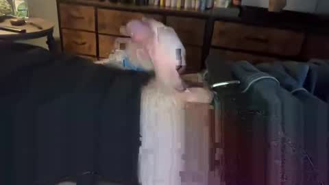 lubthemtitties online show from December 22, 8:49 am