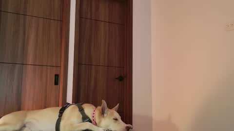 Luci y Fer online show from September 9, 1:49 am