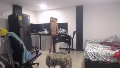 Luna online show from March 7, 7:05 pm