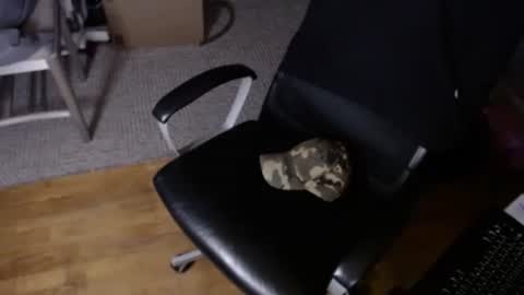 Jim Bo online show from December 23, 3:56 am