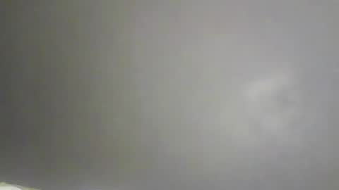 Bee Bee online show from February 9, 1:37 pm