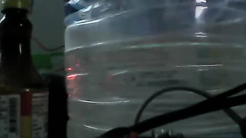 Bee Bee online show from September 14, 3:20 am