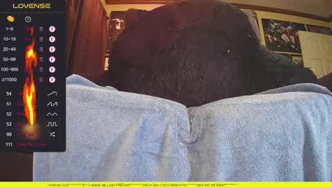 lxbbcxl online show from November 14, 5:09 am