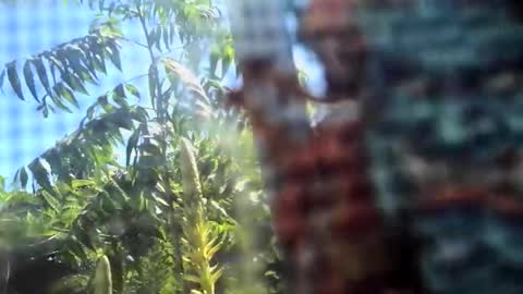 SLoppYxXPeeHoLeXxGspotxX online show from February 15, 8:40 pm