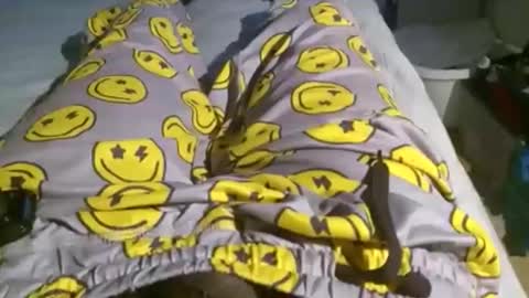 KingDingALingPattiPhatty online show from October 30, 6:52 pm