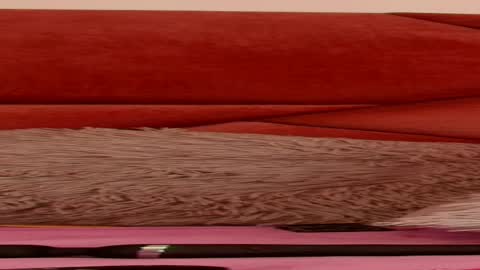 MAITHEFERRER online show from March 11, 11:24 am