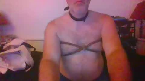Snapshot of malebdsmslut chatting on October 14, 7:33 am CommandbondageNipples bondage kink submissive lovense slave wgear. modequiethvyBondage If Password goldfish online show from October 14, 7:33 am