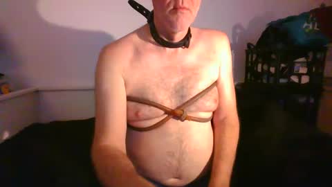 Snapshot of malebdsmslut chatting on January 29, 9:12 am CommandbondageNipples bondage kink submissive lovense slave wgear. modequiethvyBondage If Password goldfish online show from January 29, 9:12 am