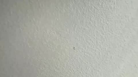 mamiilatina2500 online show from March 24, 4:46 pm