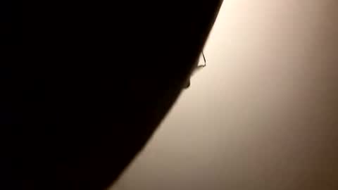 marginalie online show from April 2, 6:26 pm